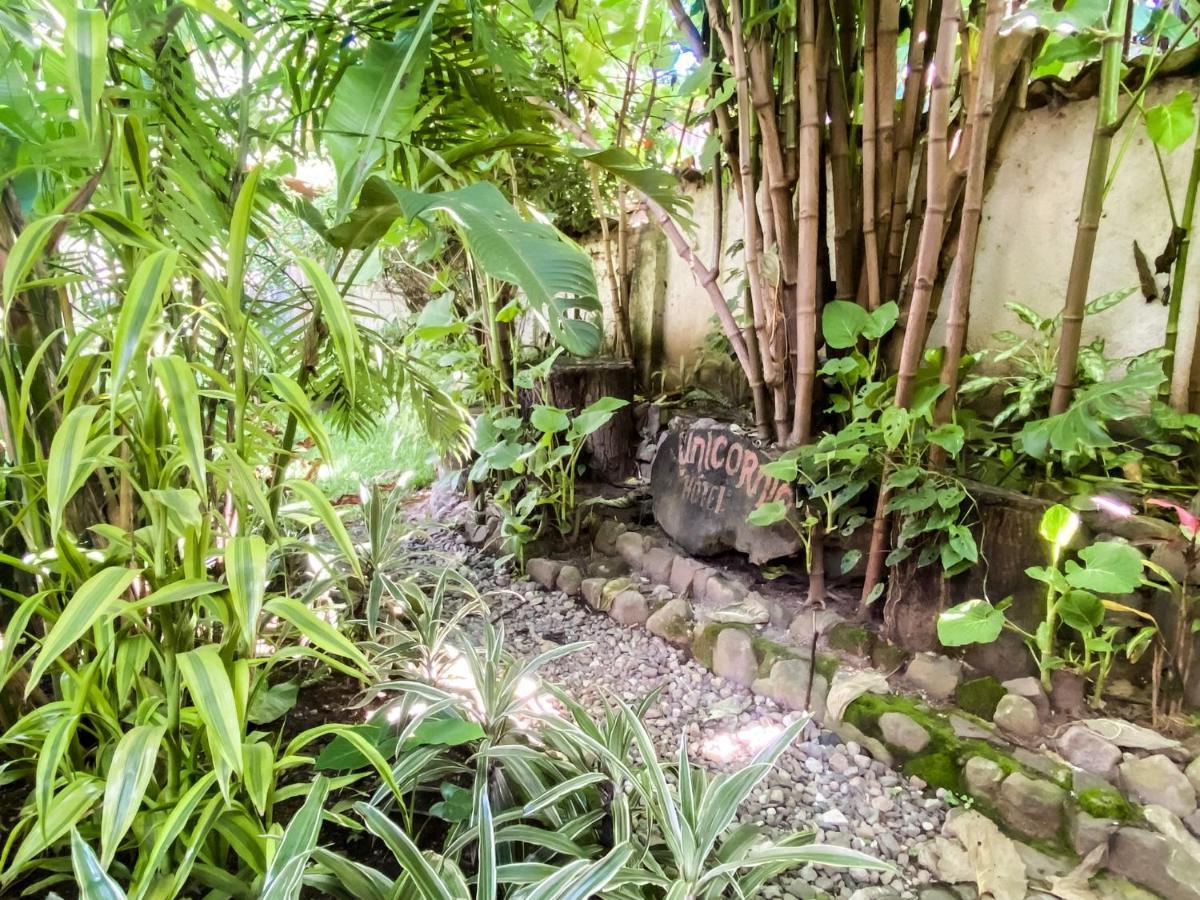 Unicorn Reborn - Peaceful Rentals San Marcos La Laguna Esterno foto