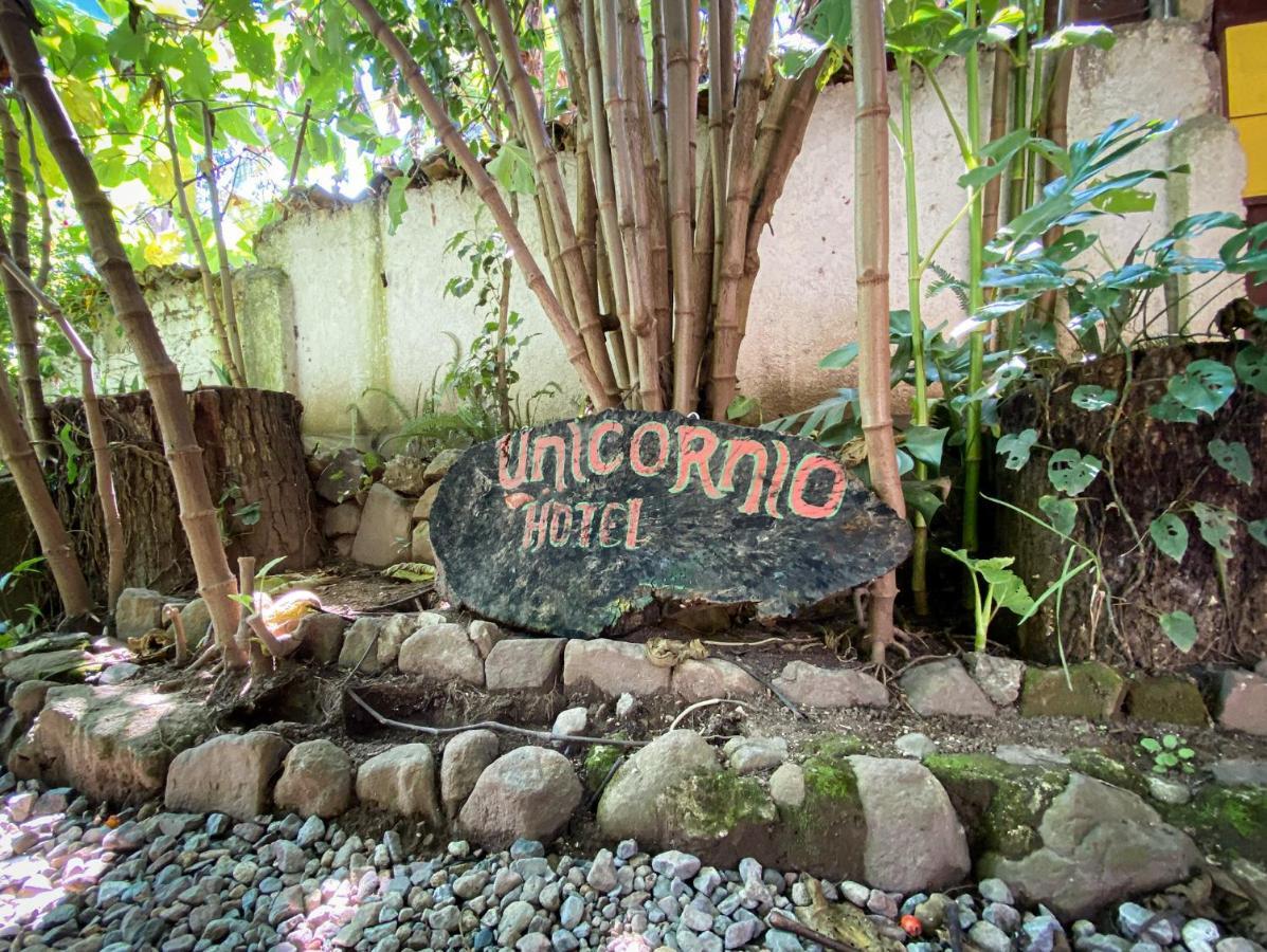 Unicorn Reborn - Peaceful Rentals San Marcos La Laguna Esterno foto