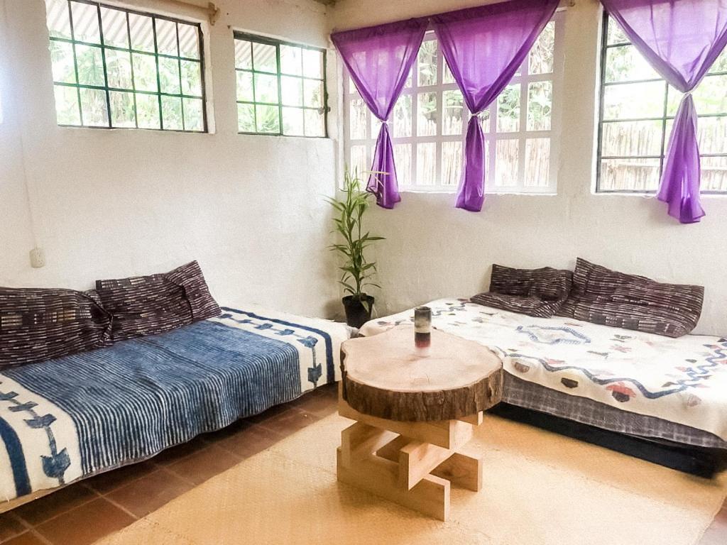 Unicorn Reborn - Peaceful Rentals San Marcos La Laguna Esterno foto